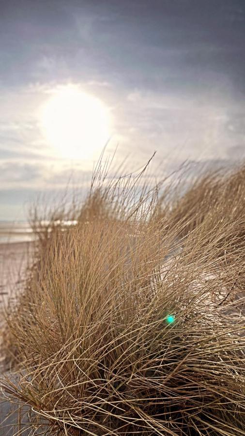 Habel Whg 9 Deichkieker Lägenhet Wyk auf Föhr Exteriör bild