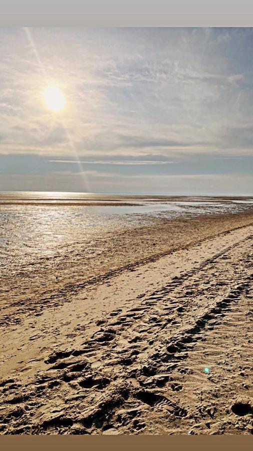 Habel Whg 9 Deichkieker Lägenhet Wyk auf Föhr Exteriör bild